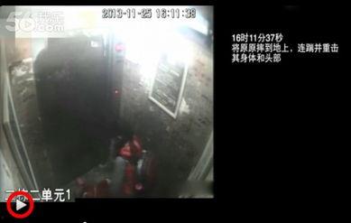 重庆爆炸女孩爆料视频,惊心动魄的现场还原 第1张 重庆爆炸女孩爆料视频,惊心动魄的现场还原 第1张
